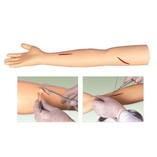 Advanced Surgical Suture Arm Models