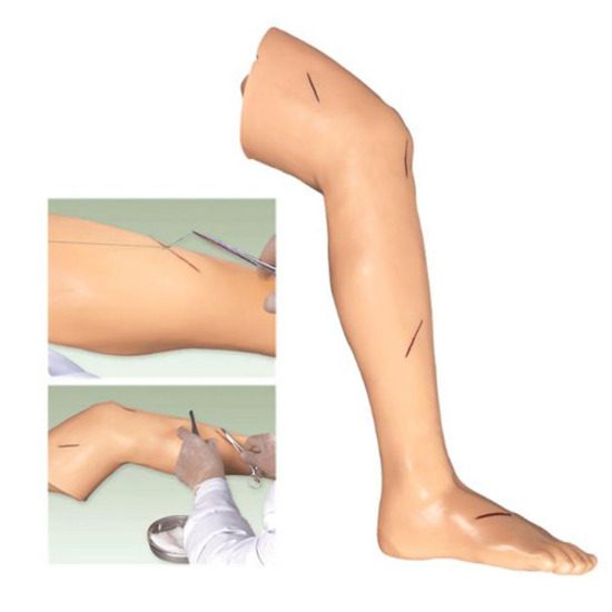 Advanced Surgical Suture Leg Models