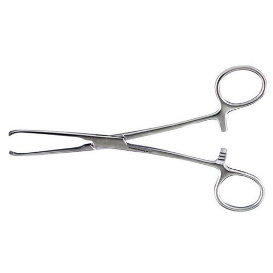 Allis forceps 6 and 8 inch