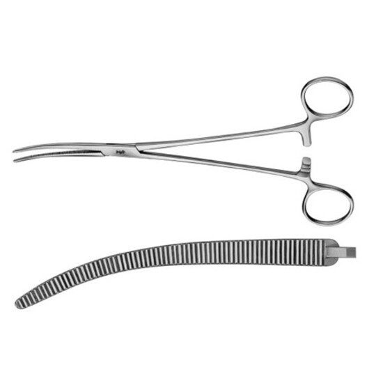 Artery Forceps Curved 8inch Roberts