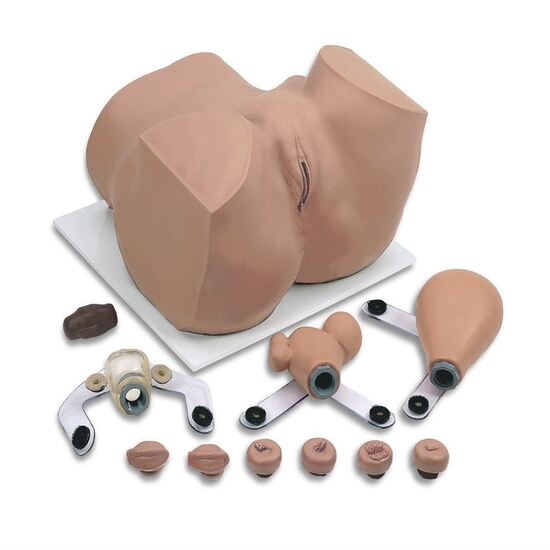 EVA Gynecology Training Manikin