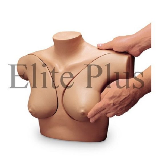Breast Self Examination Simulator Training