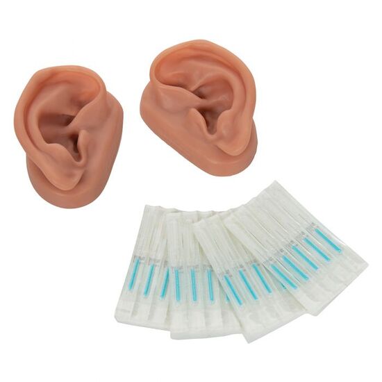 Acupuncture Ears, Set for 10 Students