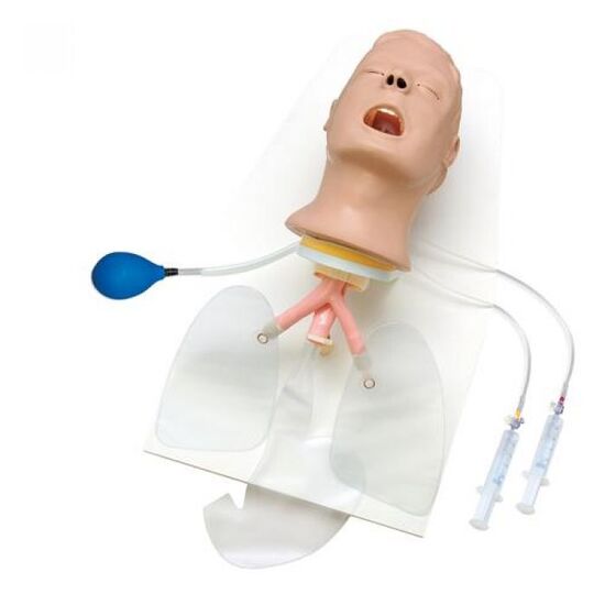 Advanced Airway Larry Trainer Head,Stand