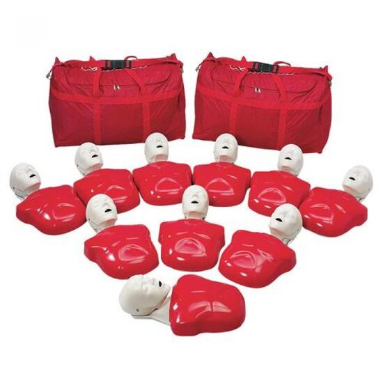 Basic Buddy CPR Torso, 10-Pack
