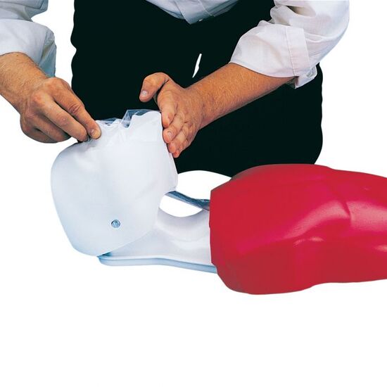 Basic Buddy CPR Torso