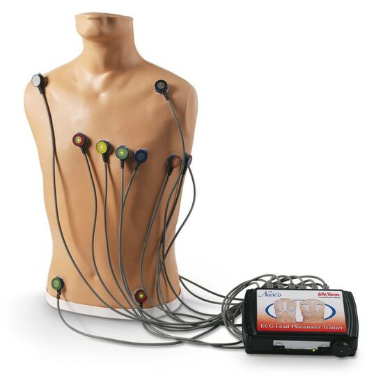 ECG Placement Trainer 15-Lead