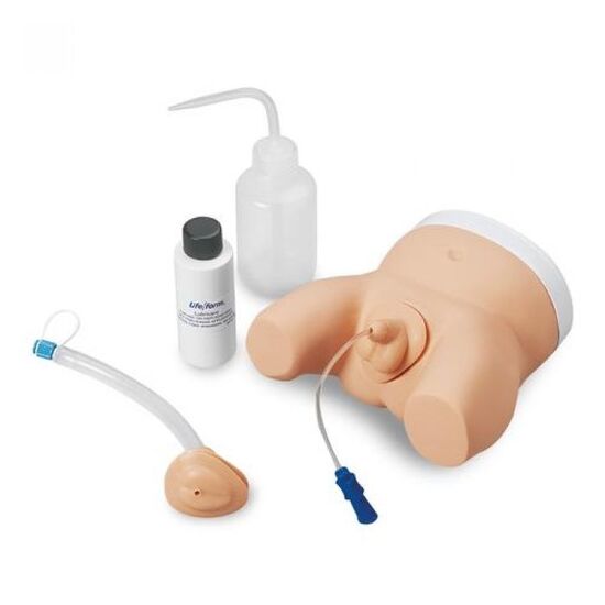 Infant Male and Female Catheterization Trainer