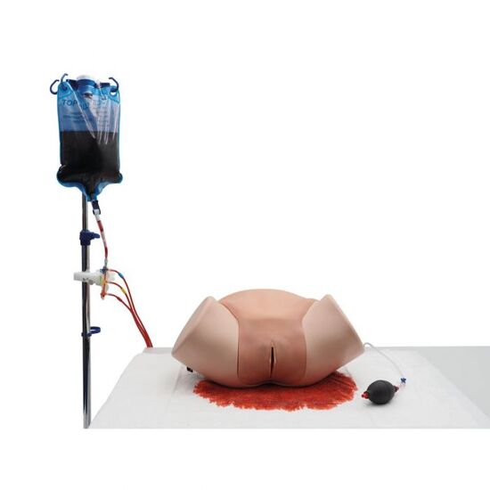 Postpartum Hemorrhage Simulator – PPH Trainer P97 PRO