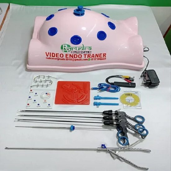 Full body shape Endotrainer with 5 basic training instruments set